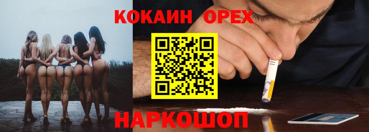 Кокаин  Вход с VPN  Новозыбков  COCAIN Fish Scale  Cocaine Эквадор 