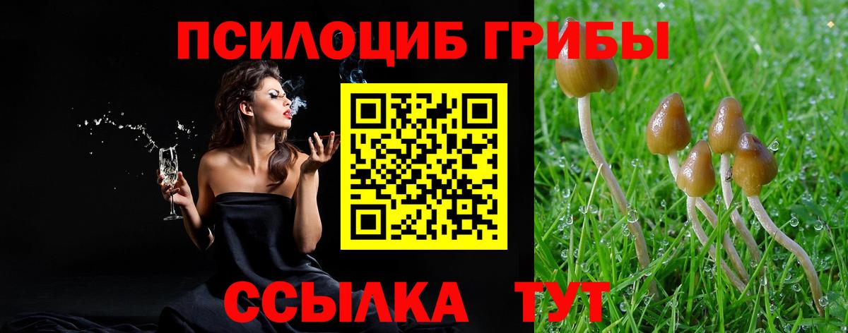 Псилоцибиновые грибы ЛСД Новозыбков