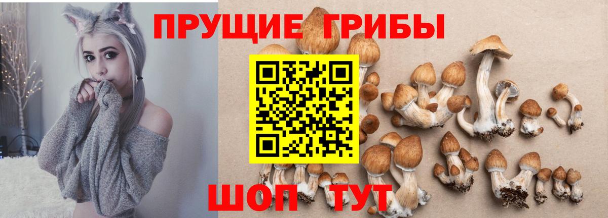 Галлюциногенные грибы ЛСД  Галлюциногенные грибы мухоморы  Вход с VPN  как найти наркотики  Новозыбков 